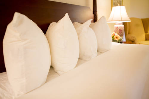 Imagen de la habitación del Hotel Desmond Malvern, A Doubletree By Hilton. Foto 6