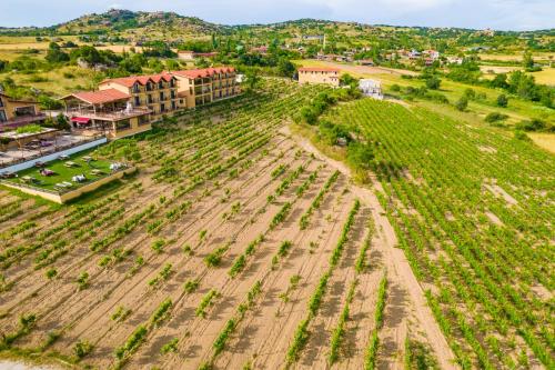 Imagen general del Hotel Dessera Vineyards. Foto 1
