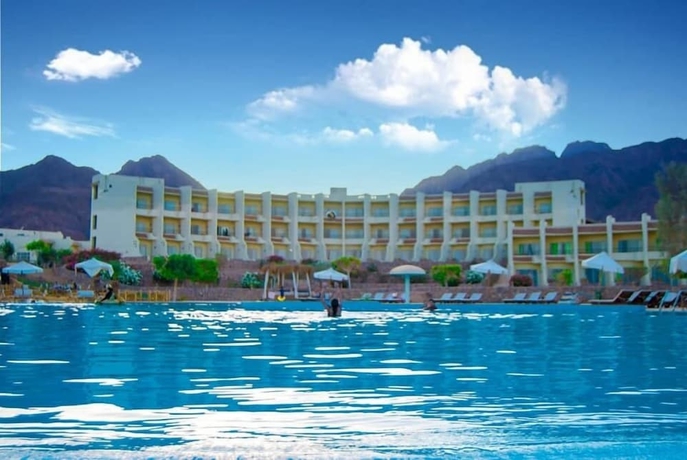 Imagen de la piscina del Hotel Dessole Holiday Taba. Foto 14