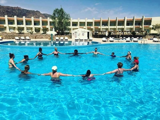 Imagen de la piscina del Hotel Dessole Holiday Taba. Foto 16