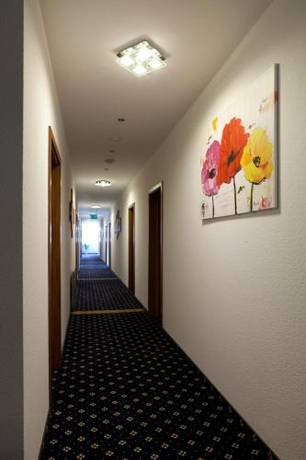 Imagen general del Hotel Deutscher Hof, Babenhausen. Foto 8