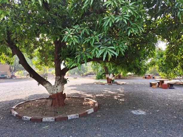 Imagen general del Hotel Dev Farm Sasan Gir. Foto 5