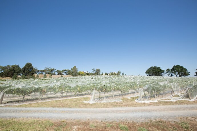 Imagen general del Hotel De'vine Escape. Foto 2