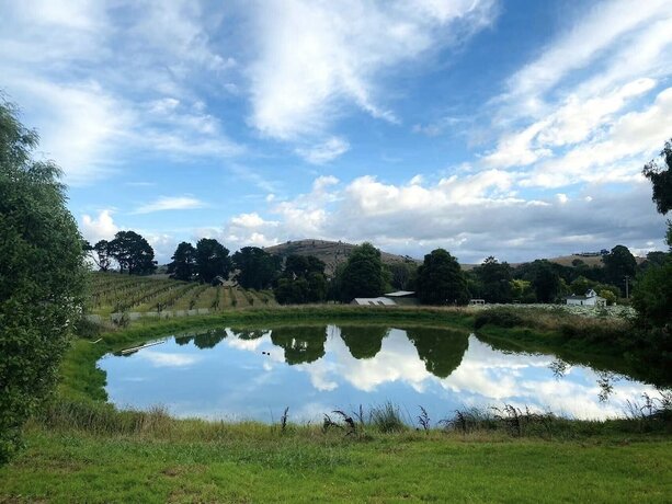 Imagen general del Hotel De'vine Escape. Foto 3