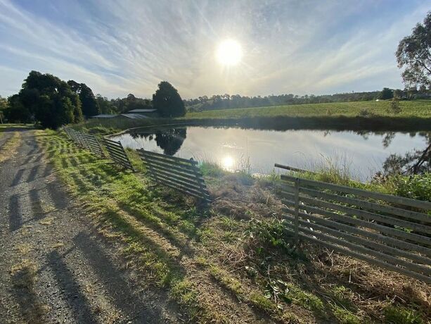 Imagen general del Hotel De'vine Escape. Foto 4