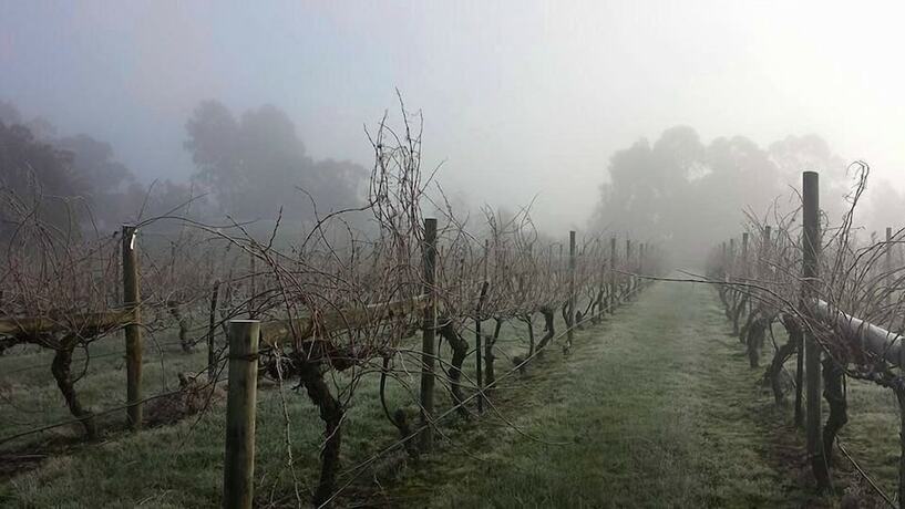 Imagen general del Hotel De'vine Escape. Foto 5