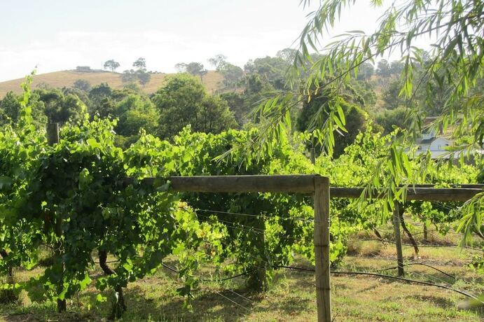 Imagen general del Hotel De'vine Escape. Foto 11