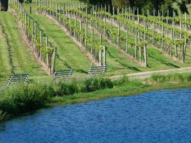 Imagen general del Hotel De'vine Escape. Foto 14