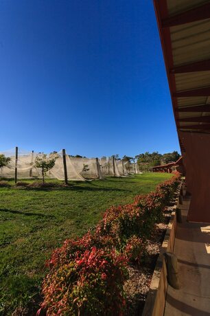 Imagen general del Hotel De'vine Escape. Foto 15