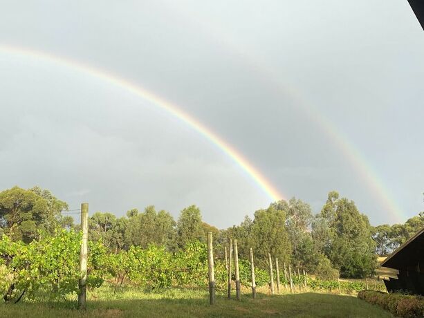 Imagen general del Hotel De'vine Escape. Foto 17