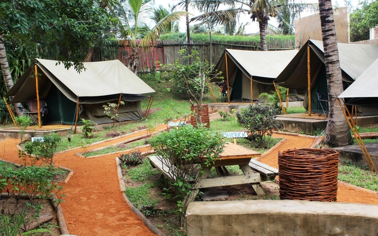 Imagen de la habitación del Hotel Devocean Eco Adventure Lodge. Foto 11