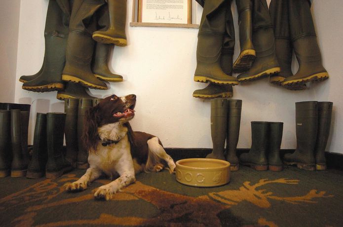 Imagen de los interiores del Hotel Devonshire Arms and Spa. Foto 9