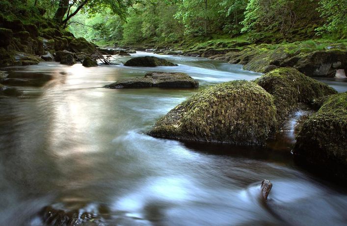 Imagen de los interiores del Hotel Devonshire Arms and Spa. Foto 12