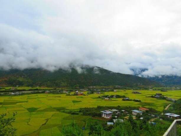 Imagen general del Hotel Dewachen Resort. Foto 4