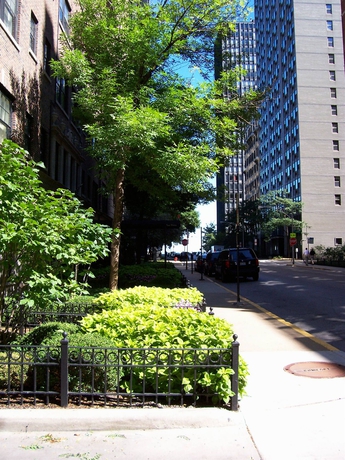 Imagen de los exteriores del Hotel Dewitt Hotel and Suites. Foto 5