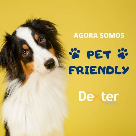 Imagen general del Hotel Dexter. Foto 2