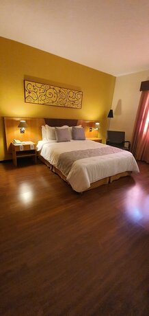 Imagen de la habitación del Hotel Dexter. Foto 31