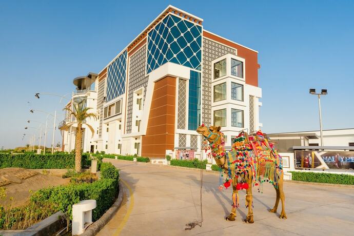 Imagen general del Hotel Dharti Dhora Ri - A Sand Dune Resort. Foto 17