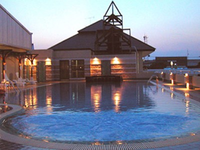 Imagen de la piscina del Hotel Dhevaraj. Foto 6