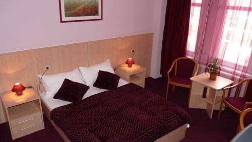 Imagen general del Hotel D-hotel, GYULA. Foto 6