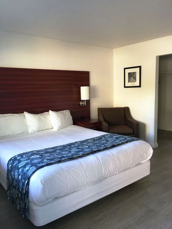 Imagen de la habitación del Hotel Diablo Mountain Inn - Walnut Creek. Foto 3
