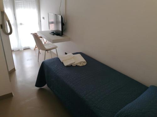Imagen general del Hotel Diamante, Cattolica. Foto 16