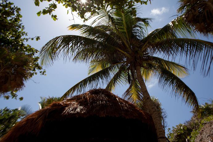 Imagen de la habitación del Hotel Diamante K - Inside Tulum National Park. Foto 9