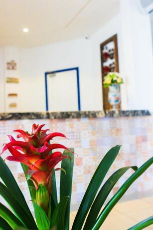 Imagen general del Hotel Diamantina - By Up - Em Guarapari. Foto 9
