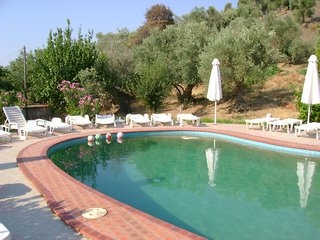 Imagen de la piscina del Hotel Diamantis. Foto 9
