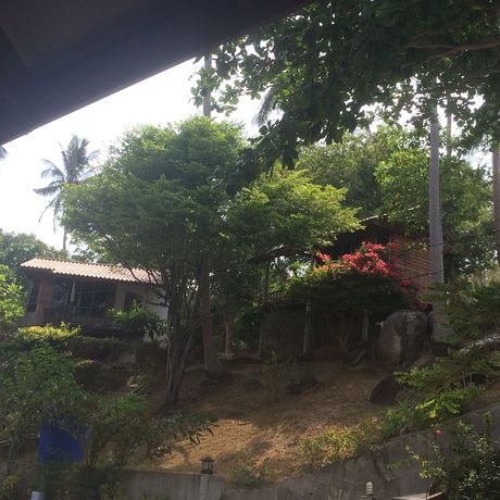 Imagen de los exteriores del Hotel Diamond Beach Resort, KOH TAO . Foto 15