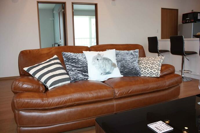 Imagen general del Hotel Diamond Dust Furano. Foto 5