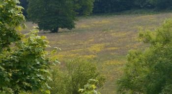 Imagen de la habitación del Hotel Diamond Hill Country House. Foto 4