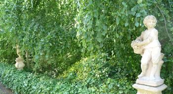 Imagen de los exteriores del Hotel Diamond Hill Country House. Foto 10