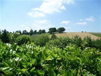 Imagen de la habitación del Hotel Diamond Hill Country House. Foto 5