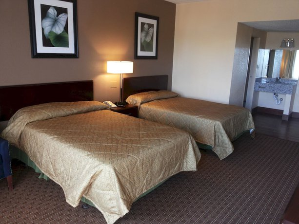 Imagen de la habitación del Hotel Diamond Inn And Suites. Foto 2
