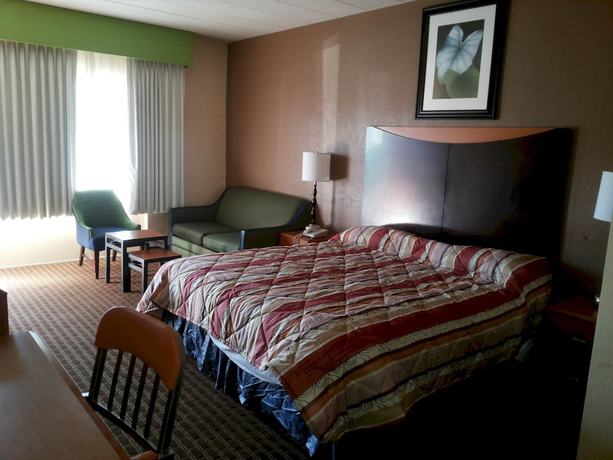 Imagen de la habitación del Hotel Diamond Inn And Suites. Foto 6