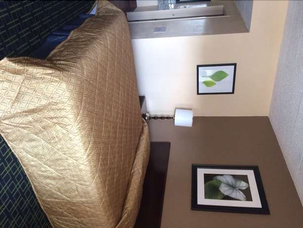 Imagen de la habitación del Hotel Diamond Inn And Suites. Foto 8