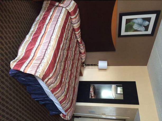Imagen de la habitación del Hotel Diamond Inn And Suites. Foto 12
