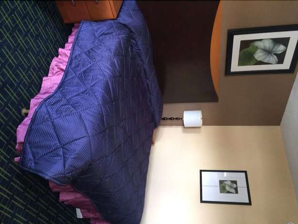 Imagen de la habitación del Hotel Diamond Inn And Suites. Foto 13