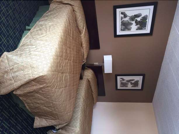 Imagen de la habitación del Hotel Diamond Inn And Suites. Foto 16