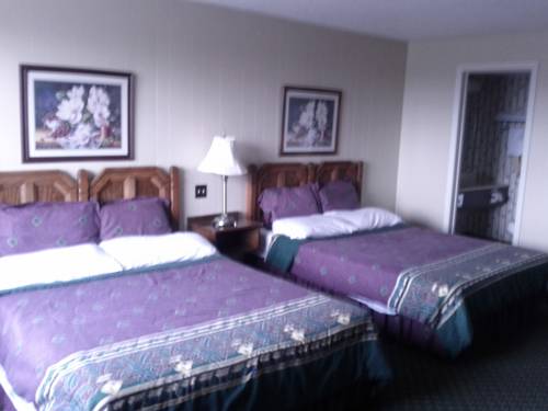 Imagen general del Hotel Diamond Motor Inn. Foto 1