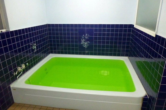 Imagen de la piscina del Hotel Diamond, Osaka. Foto 4