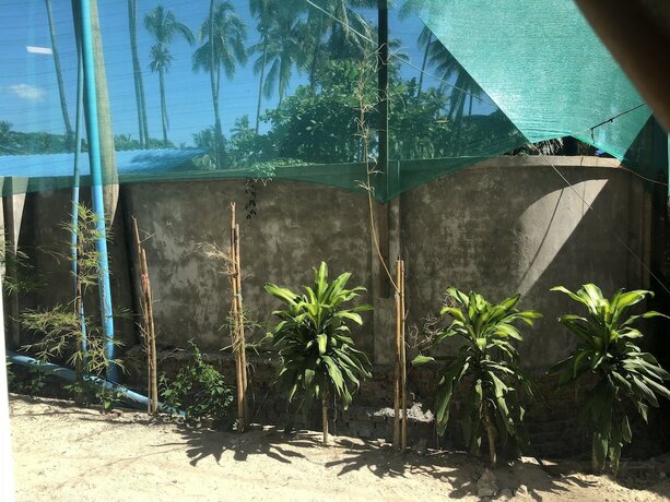 Imagen general del Hotel Diamond Residence. Foto 17