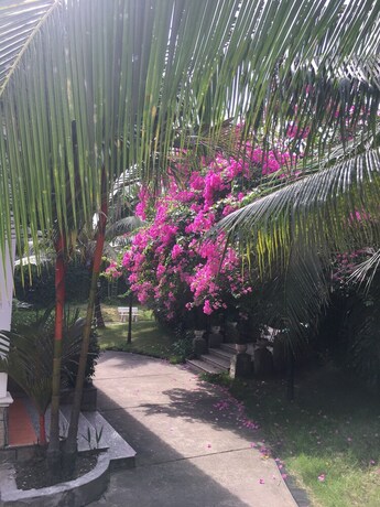 Imagen de los interiores del Hotel Diamond & Resort. Foto 19