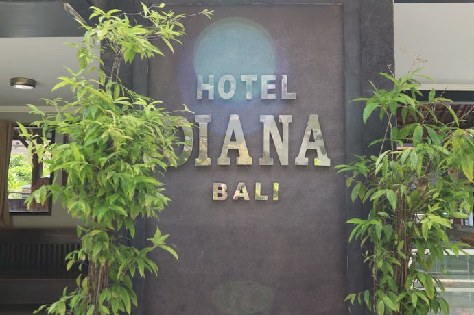 Imagen general del Hotel Diana 1. Foto 1