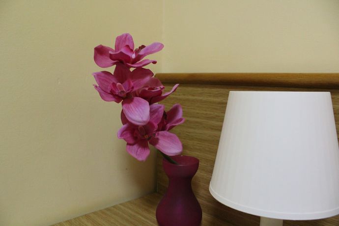 Imagen de la habitación del Hotel Diana, Cassino. Foto 9