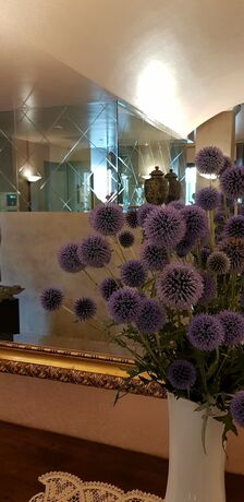Imagen general del Hotel Diana, Darfo Boario Terme. Foto 11