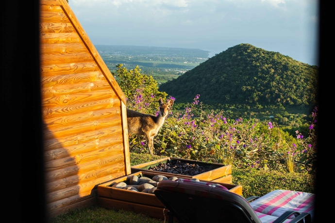 Imagen de la habitación del Hotel Diana Dea Lodge. Foto 9