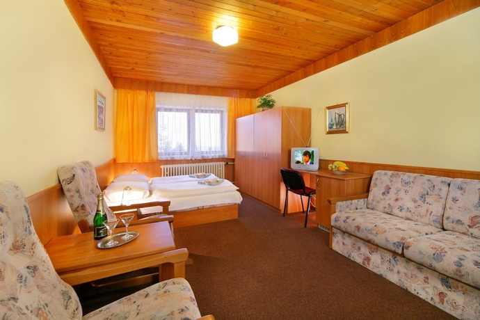 Imagen de la habitación del Hotel Diana, HRADEC KRALOVE. Foto 10