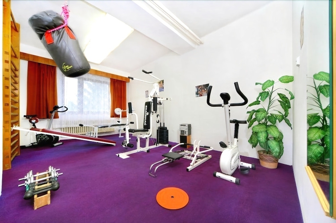 Imagen de los interiores del Hotel Diana, HRADEC KRALOVE. Foto 15